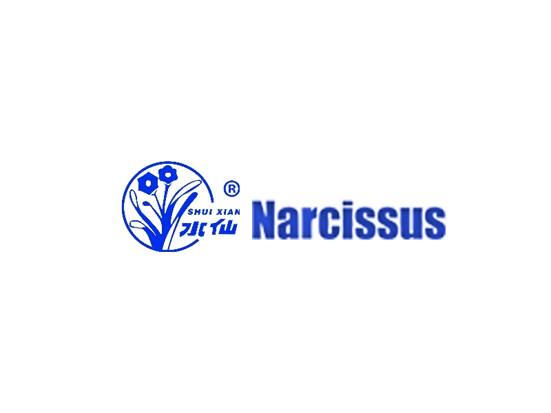 Narcissus